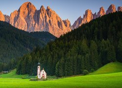 Włochy, Południowy Tyrol, Góry, Dolomity, Kościół św Jana, Wieś, Santa Maddalena, Dolina Val di Funes, Drzewa, Trawa