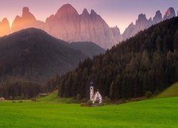 Włochy, Południowy Tyrol, Góry, Dolomity, Kościół św Jana, Wieś, Santa Maddalena, Dolina, Val di Funes, Las