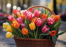Kosz kolorowych tulipanów