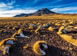 Chile, Pustynia Atakama, Region Antofagasta, Gmina San Pedro de Atacama, Góra, Kępki, Trawa, Kamienie