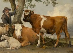 Malarstwo, Obraz, Paulus Potter, Mężczyzna, Drzewo, Owce, Krowy, Byki