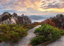 Góry, Drzewa, Chmury, Skały, Wschód słońca, Góra Dobongsan, Park Narodowy Bukhansan, Prowincja Gyeonggi-do, Korea Południowa