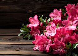 Kwiaty azalii na deskach