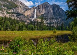 Stany Zjednoczone, Kalifornia, Park Narodowy Yosemite, Góry, Skały, Wodospad, Łąka, Krzewy, Kwiaty