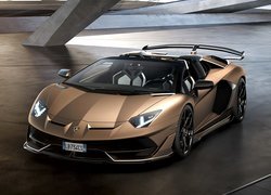 Lamborghini Aventador SVJ, Roadster, 3D