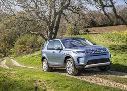 Land Rover Discovery Sport, Droga, Drzewa