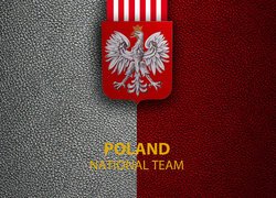 Logo, Godło, Piłka nożna, Reprezentacja Polski