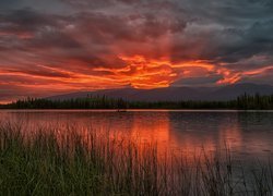 Góry, Jezioro Boya, Kajakarz, Trawa, Wschód słońca, Kolumbia Brytyjska, Kanada