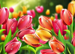 Mokre tulipany w grafice 2D