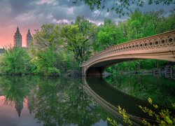 Most na jeziorze w Central Park na Manhattanie w Nowym Jorku