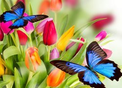 Kwiaty, Kolorowe, Tulipany, Motyle, 2D