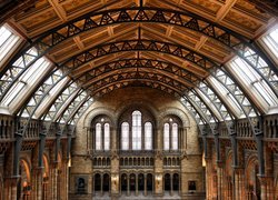Muzeum Historii Naturalnej, Galeria, Londyn, Anglia