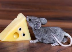 Myszka obok kawałka żółtego sera