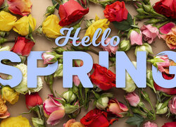 Kwiaty, Kolorowe, Róże, Napis, Hello spring