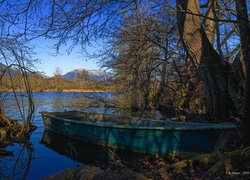 Niebieska łódka pod drzewami na brzegu jeziora