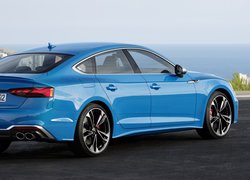 Niebieskie, Audi S5 Sportback