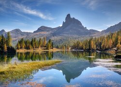 Włochy, Prowincja Belluno, Góry, Dolomity, Jezioro, Lago Federa, Drzewa, Jesień, Odbicie