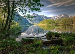 Austria, Almtal, Góry, Jezioro, Almsee, Drzewa, Odbicie