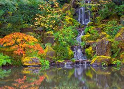 Ogród japoński, Drzewa, Krzewy, Roślinność, Wodospad, Skały, Portland Japanese Garden, Portland, Oregon, Stany Zjednoczone