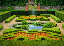 Ogród przy Pałacu Hampton Court w Londynie