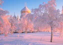 Ośnieżone drzewa i Białogórski Monaster św Mikołaja w Rosji