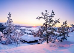 Zima, Śnieg, Drzewa, Zachód słońca, Góry Połabskie, Niemcy