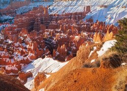 Skały, Śnieg, Rośliny, Kanion, Park Narodowy Bryce Canyon, Utah, Stany Zjednoczone