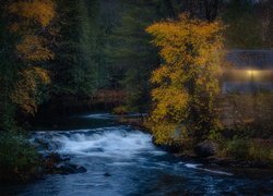 Oświetlona altana w jesiennym lesie przy rwącej rzece