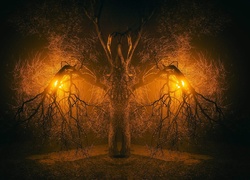 Oświetlone suche drzewo nocą
