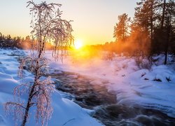 Zima, Śnieg, Rzeka Juutuanjoki, Wschód słońca, Oszronione, Drzewo, Mgła, Laponia, Finlandia
