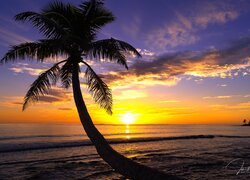 Stany Zjednoczone, Hawaje, Wyspa Oahu, Morze, Palma, Zachód słońca, Chmury
