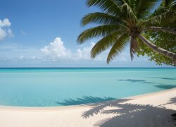 Palma pochylona nad morską plażą na Malediwach