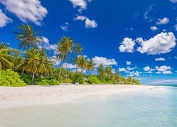 Malediwy, Morze, Plaża, Palmy, Domek