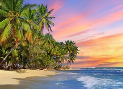 Palmy na morskiej plaży i kolorowe niebo