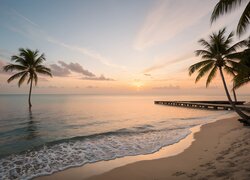 Palmy na plaży i zachód słońca nad morzem