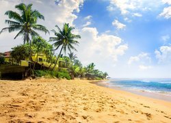 Morze, Fale, Plaża, Narigama Beach, Palmy, Dom, Chmury, Hikkaduwa, Sri Lanka