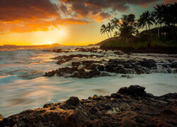 Palmy na skalistym brzegu morza o zachodzie słońca