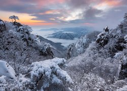 Park Prowincjonalny Daedunsan, Góra Daedunsan, Korea Południowa, Prowincja Jeolla Północna, Wschód Słońca, Zima, Drzewa, Góry, Mgła