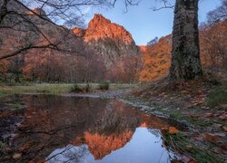 Portugalia, Góry, Serra da Estrela, Park Przyrodniczy Serra da Estrela, Drzewa, Jesień