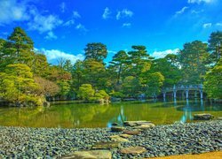 Japonia, Kioto, Park, Most, Staw, Drzewa