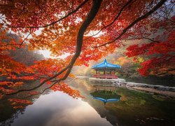 Jesień, Staw Sagiike, Gałęzie, Klon, Altana, Pawilon Ukimido, Nara Park, Nara, Japonia