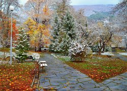 Park, Jesień, Śnieg, Drzewa, Ławki, Alejki