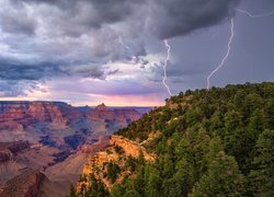 Skały, Kanion, Grand Canyon, Park Narodowy Wielkiego Kanionu, Pioruny, Drzewa, Arizona, Stany Zjednoczone