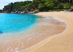 Lloret de Mar, Wakacje, Morze, Plaża Cala Treumal, Drzewa, Kamienie, Costa Brava, Prowincja Girona, Katalonia, Hiszpania