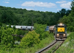 Pociąg towarowy przejeżdżający przez las