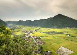 Pola w wietnamskiej dolinie Bac Son Valley