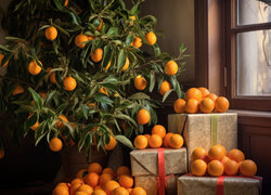 Pomarańczowe drzewko i pomarańcze na pudelkach