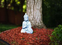 Budda, Posążek, Drzewo, Dekoracja