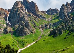Góry, Skały, Drzewa, Trawa, Rzeka Tałas, Dolina, Kirgistan