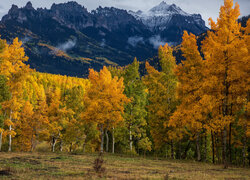 Stany Zjednoczone, Kolorado, Przełęcz, Owl Creek Pass, Jesień, Las, Drzewa, Góry, Polana, Niebo